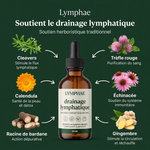 Drainant lymphatique